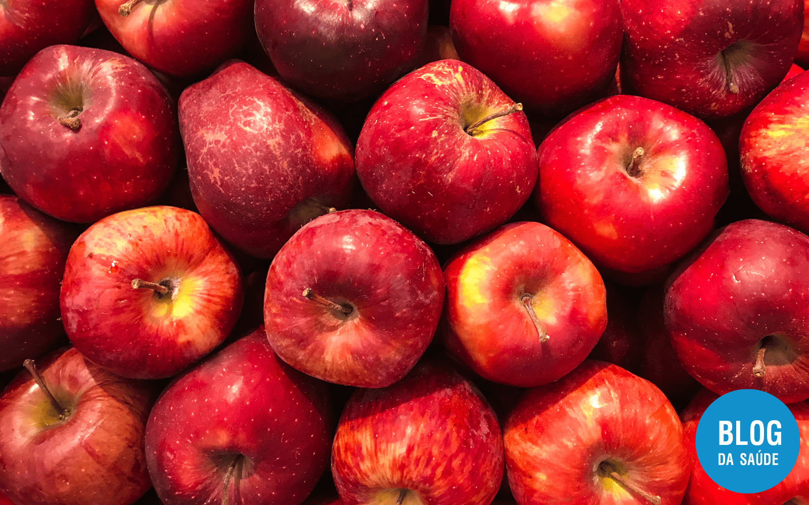 Alimentos que ajudam na digestao 8 1