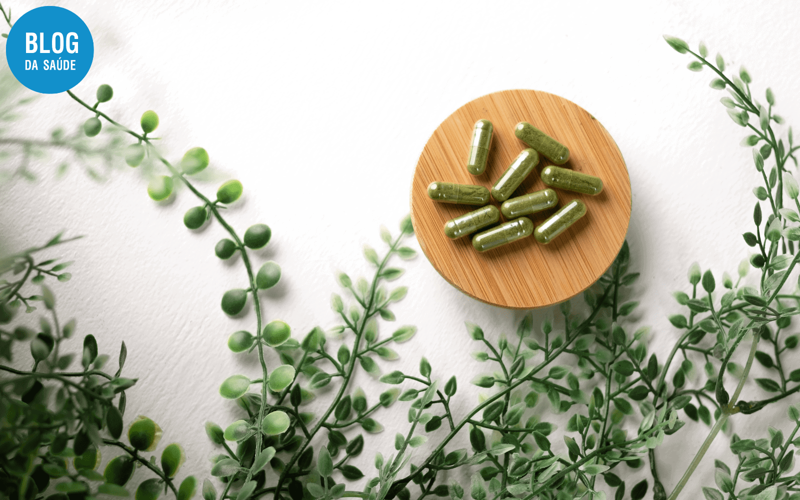 Biotina engorda? 1 Biotina engorda?