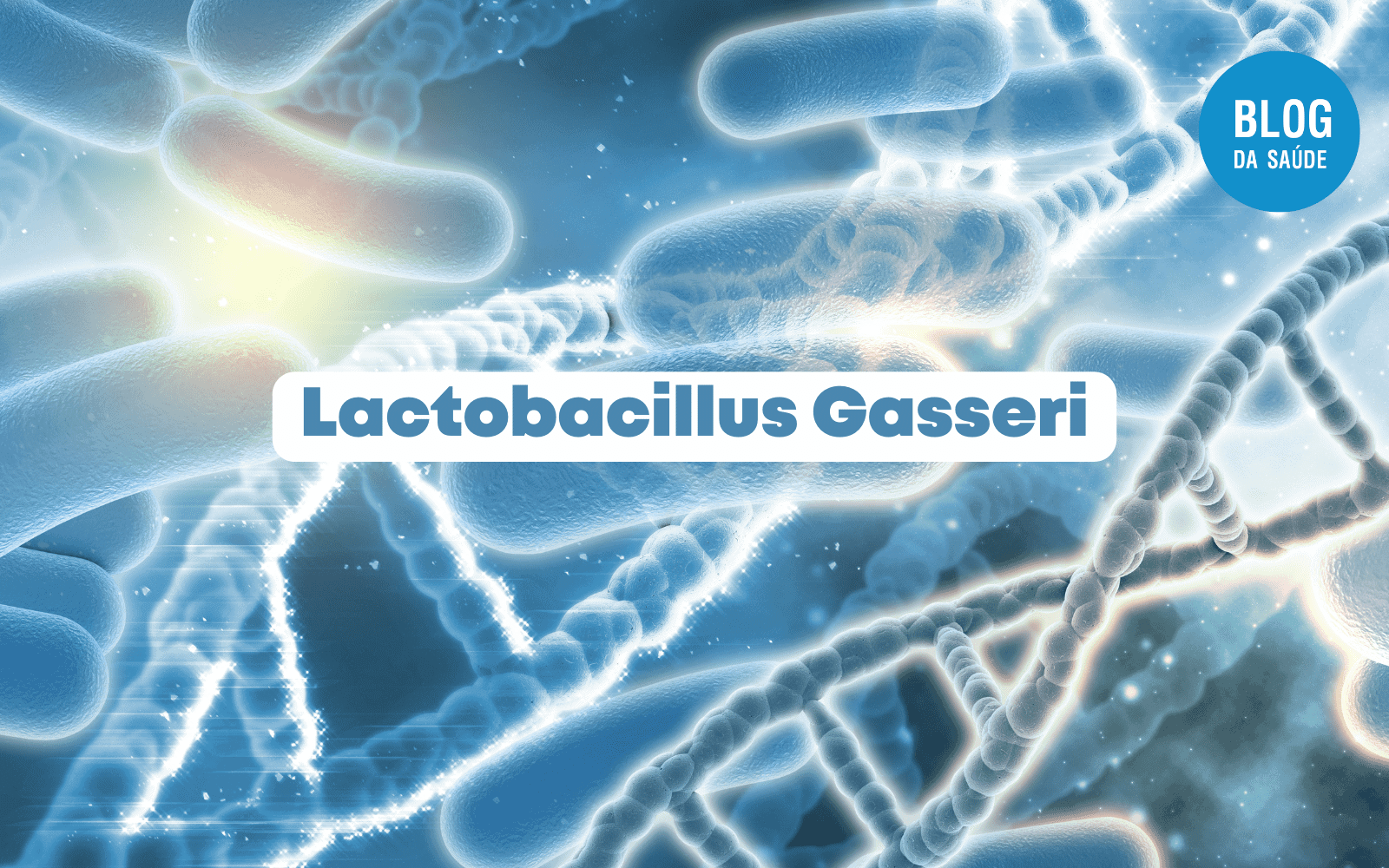 Lactobacillus Gasseri: para que serve? 1 Lactobacillus Gasseri