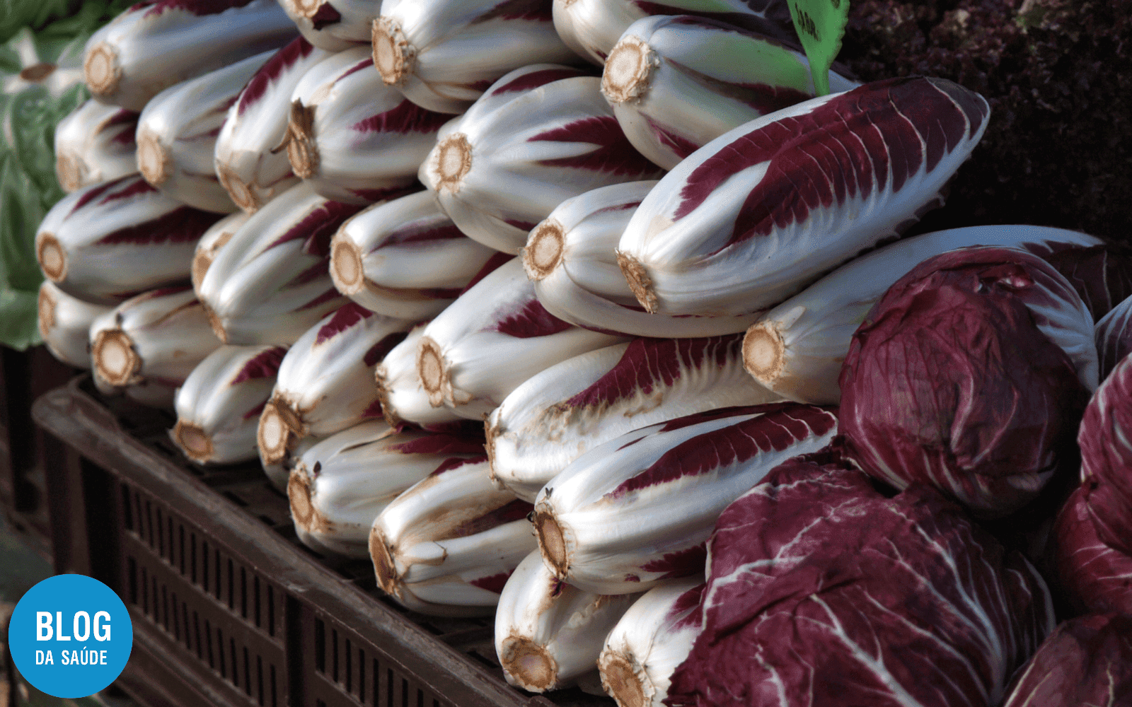 Radicchio: Conheça os benefícios e ideias para incluí-lo na dieta  1 RADICCHIO 1