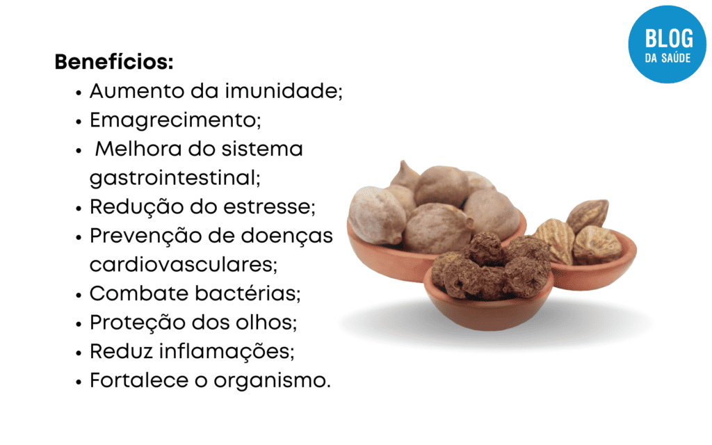 Triphala: O que é, Principais benefícios e como tomar 3 TRIPHALA 2 1