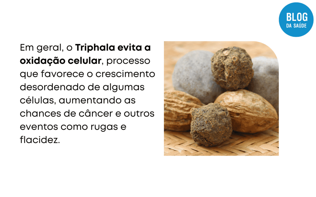 Triphala: O que é, Principais benefícios e como tomar 4 TRIPHALA 3 1
