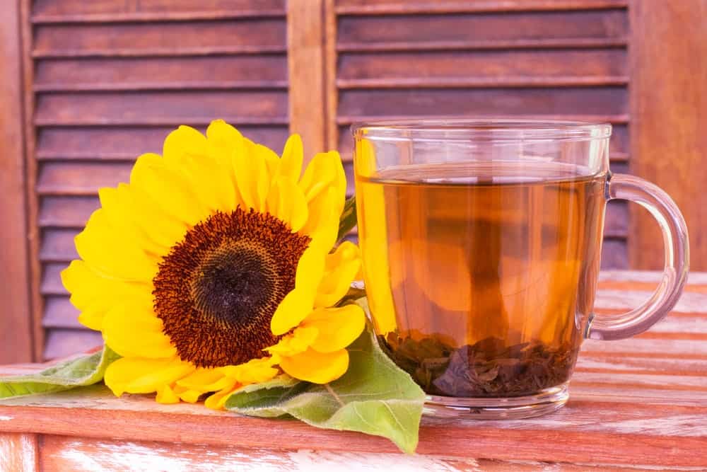 Chá de Girassol Emagrece? 1 chá de girassol