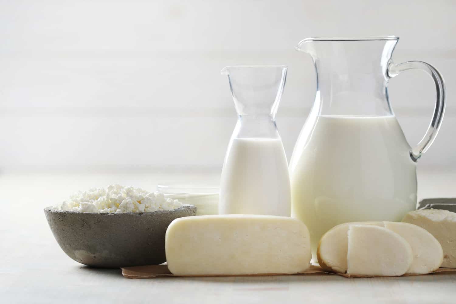 Como Funciona a Digestão da Lactose no Organismo? 1 lactose