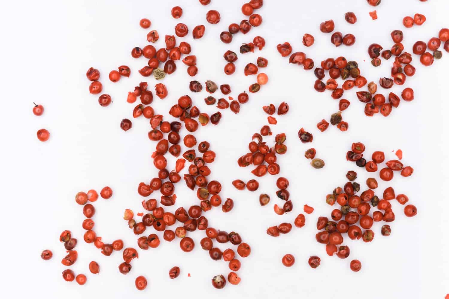 pexels markus winkler 4176250 redimensionada