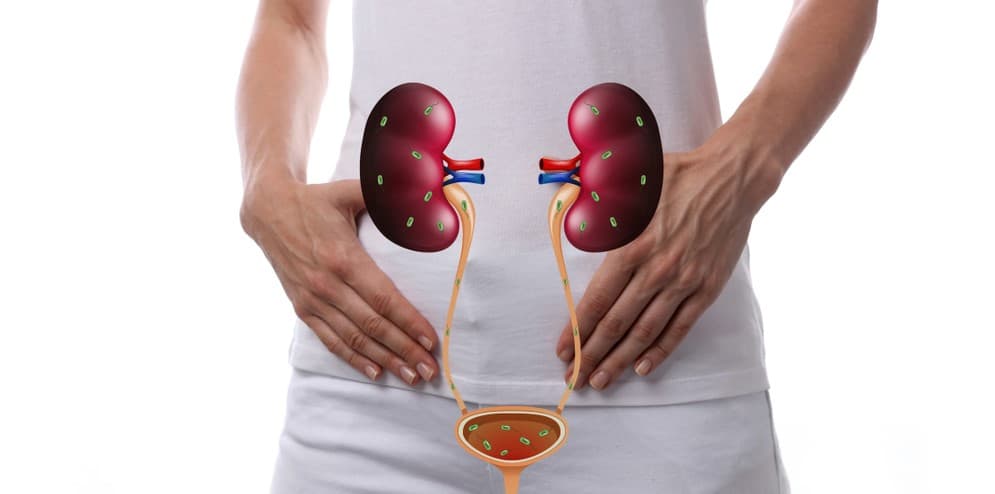 infecção urinária